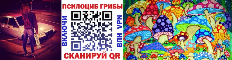Купить где  Гусь-Хрустальный  Псилоцибиновые грибы Psilocybe 